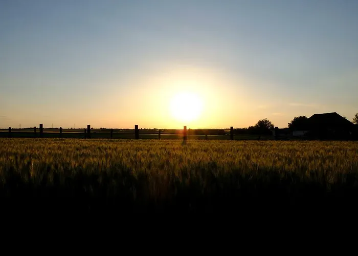 Weinkellerurlaub Roeschitz Roggendorf